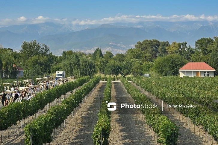 Paisaje, patrimonio y viñedos de Şəki, Azerbaiyán